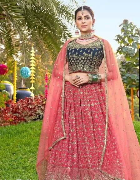 Pink and Blue color Fully both side work embroidered & hand work Lehenga